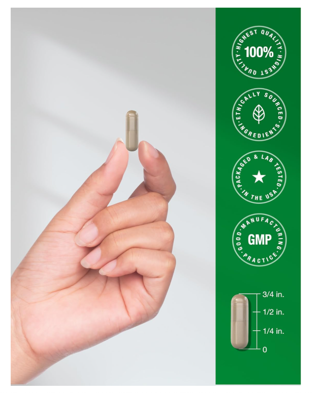 Rhodiola Rosea Horbäach | 180 Unidades | Suplemento sin OMG, sin Gluten