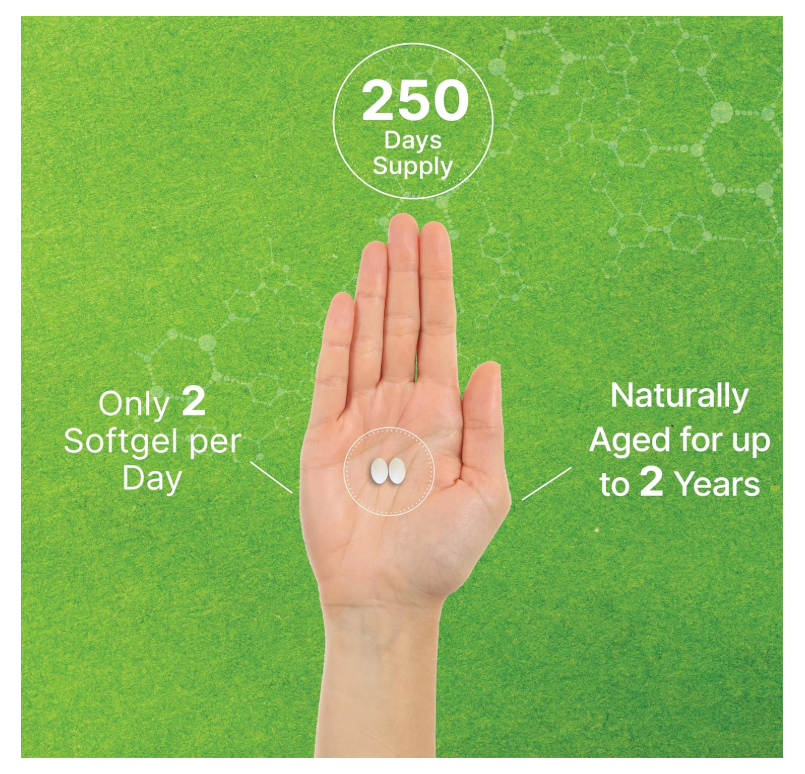 Ajo Envejecido Deal Supplement | 6000mg | 500 cápsulas de gel suave