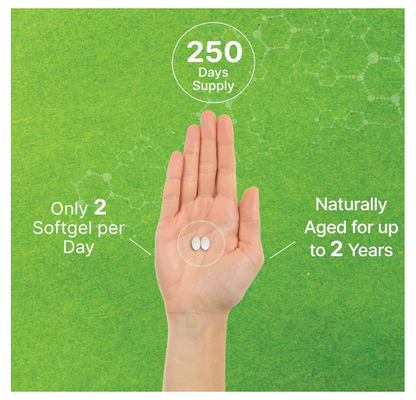Ajo Envejecido Deal Supplement | 6000mg | 500 cápsulas de gel suave