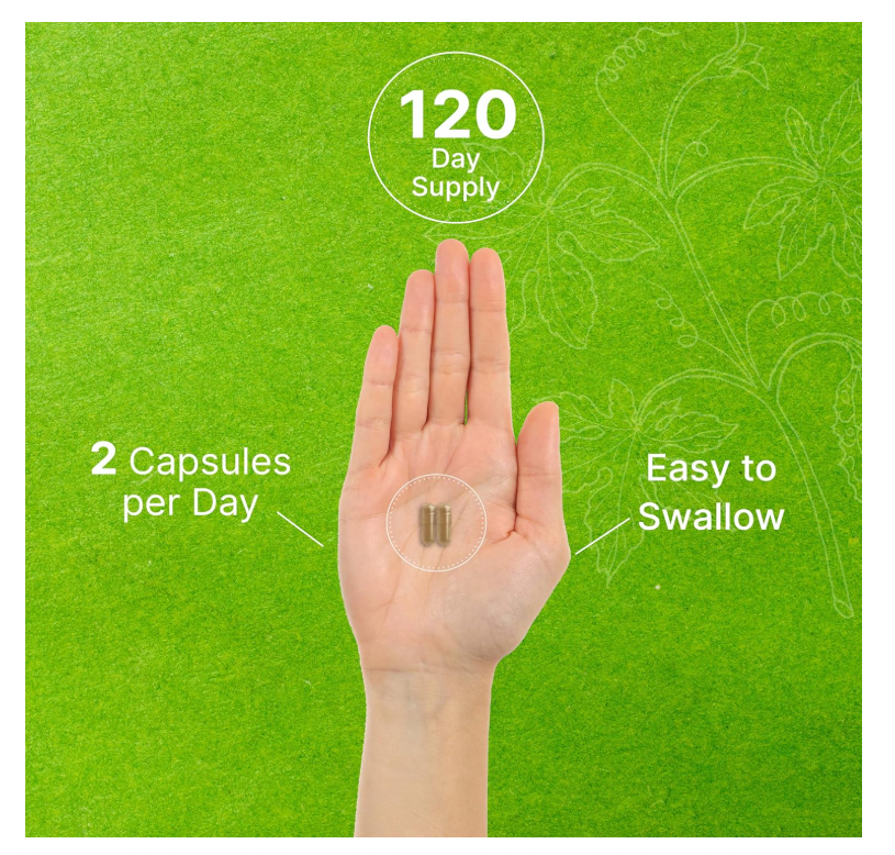 Ginkgo Biloba Deal Supplement | 500mg | 240 cápsulas | Extra fuerte