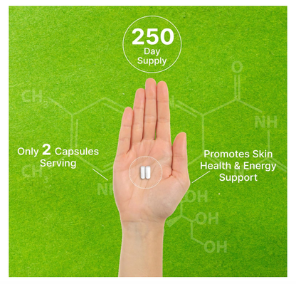 Nicotinamida 1000mg Deal Supplement | 500 cápsulas | Apoya la piel saludable y la producción de energía