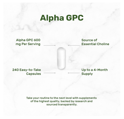 Alpha GPC 600 mg Deal Supplement | 240 cápsulas | Nootrópicos para la salud cerebral, memoria y concentración
