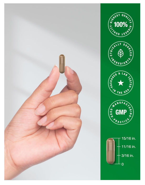 Graviola Horbäach | 2000 mg | 120 Unidades | Sin OGM, sin gluten | Guanábana (Annona Muricata)