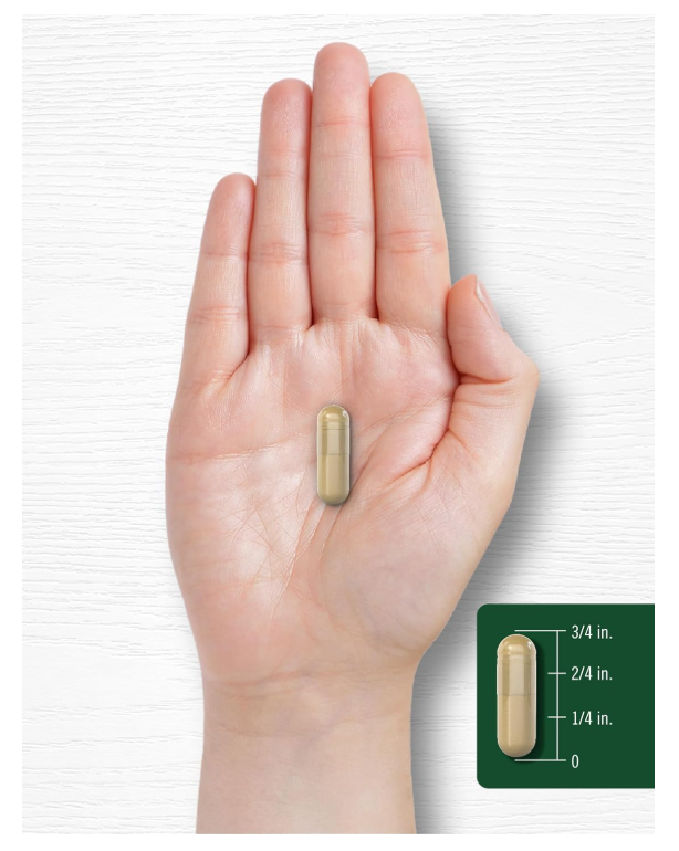 Shiitake Carlyle  3000mg | 200 cápsulas | Sin OMG, Sin gluten