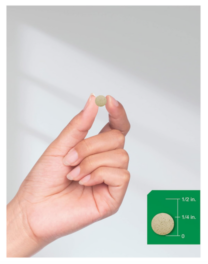 Ginkgo Biloba Horbäach 120 mg | 240 Tabletas | Con Glucósidos de Flavona | Vegetariano, Sin OMG y Sin Gluten