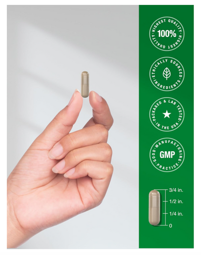 Rhodiola Rosea Horbäach | 180 Unidades | Suplemento sin OMG, sin Gluten