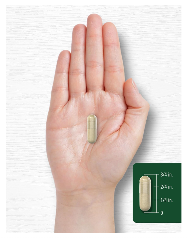 Cordyceps Carlyle  | 150 Unidades | Cepa CS-4 | Sin OMG y Sin Gluten