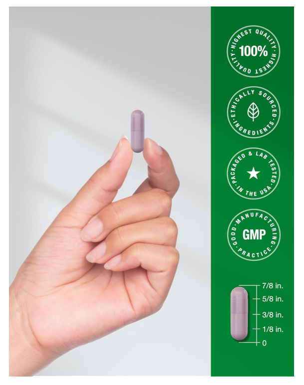 Arándano + Vitamina C Horbäach | 30,000 mg | 120 Cápsulas | Fórmula de Triple Potencia | Sin OMG