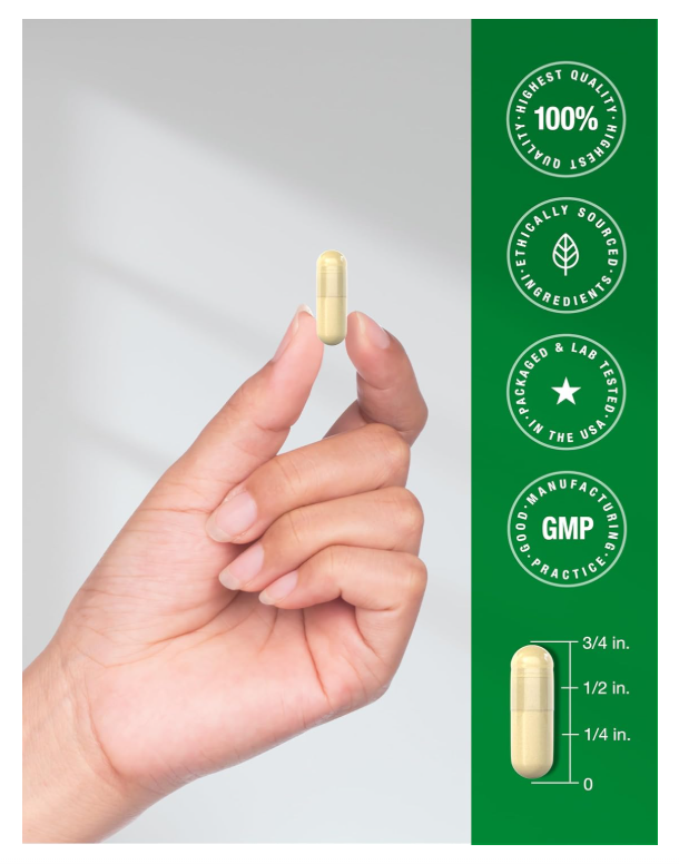 Cola de Pavo Horbäach | 1200mg | 120 Unidades | Extracto sin OMG y Sin Gluten