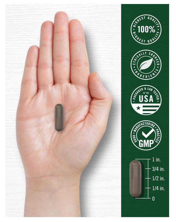 Shilajit Carlyle  | 2000mg | 90 Unidades | Suplemento sin OMG y Sin Gluten