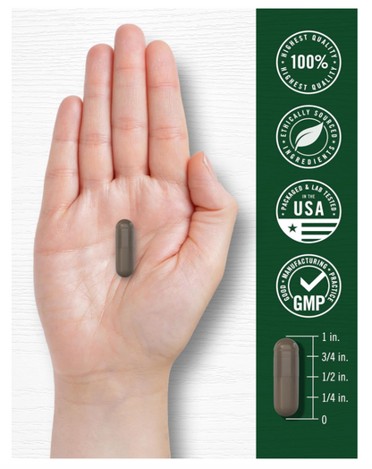 Shilajit Carlyle  | 2000mg | 90 Unidades | Suplemento sin OMG y Sin Gluten