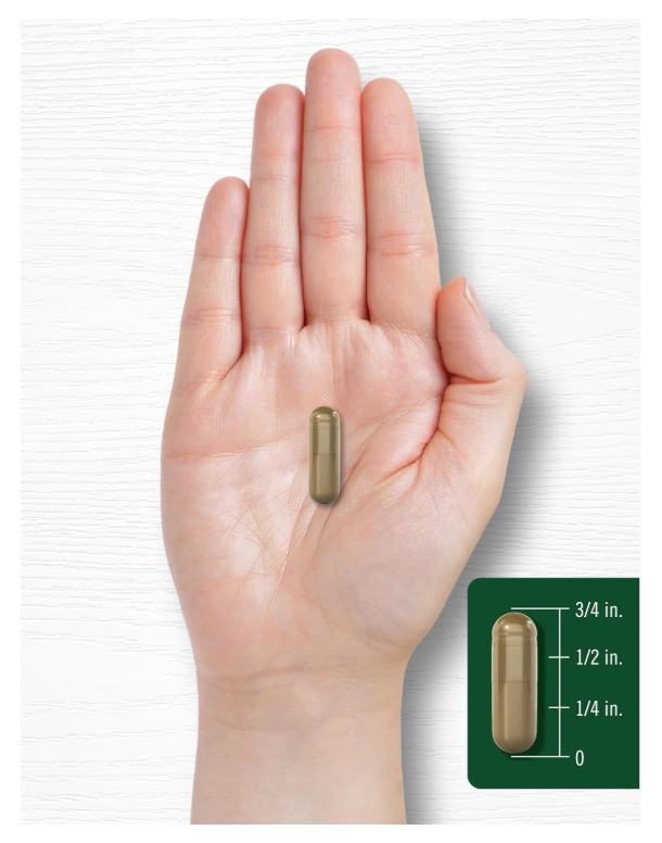 Ginkgo Biloba Carlyle  | 200 Cápsulas | Con Extracto de Bacopa | Sin OMG y Sin Gluten