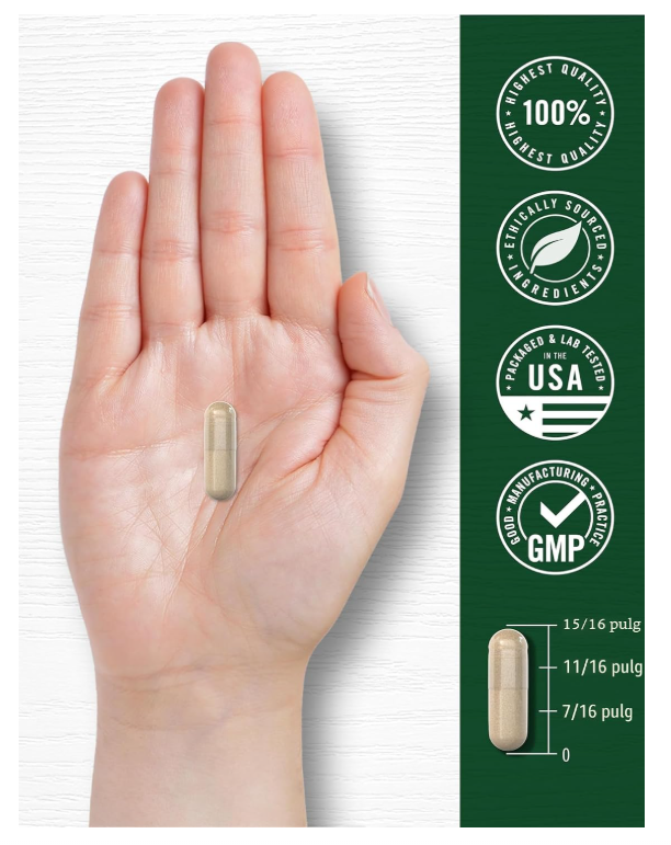 Ashwagandha Carlyle | 3000mg | 300 Cápsulas | Sin gluten, Sin OMG