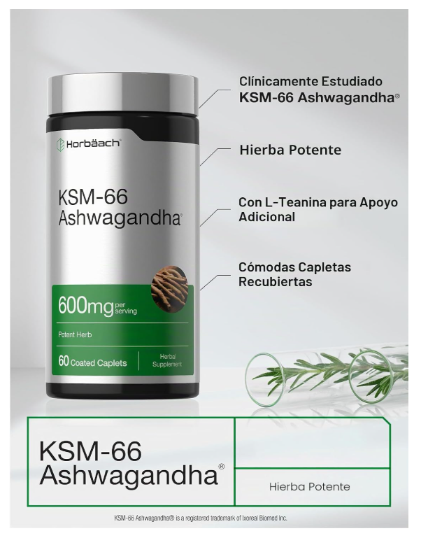 KSM-66 Ashwagandha Horbäach | Con L-teanina | 60 Cápsulas | Sin OMG, Sin Gluten