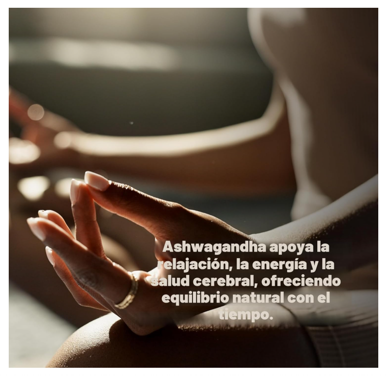 KSM 66 Ashwagandha Deal | 1200 mg con Pimienta Negra | 120 Cápsulas